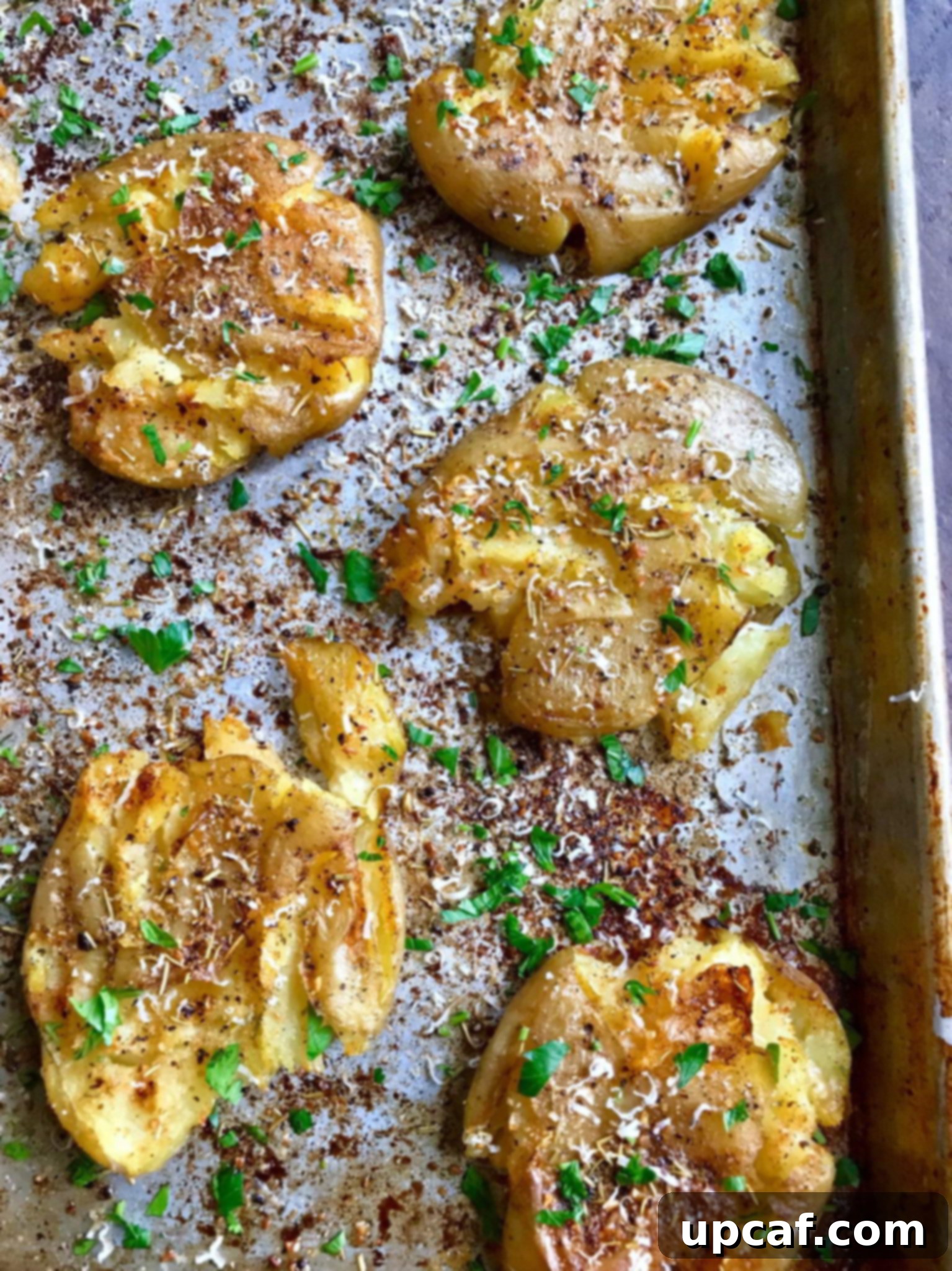 Crispy Parmesan Herbed Smashed Potatoes on a baking tray, garnished with fresh herbs