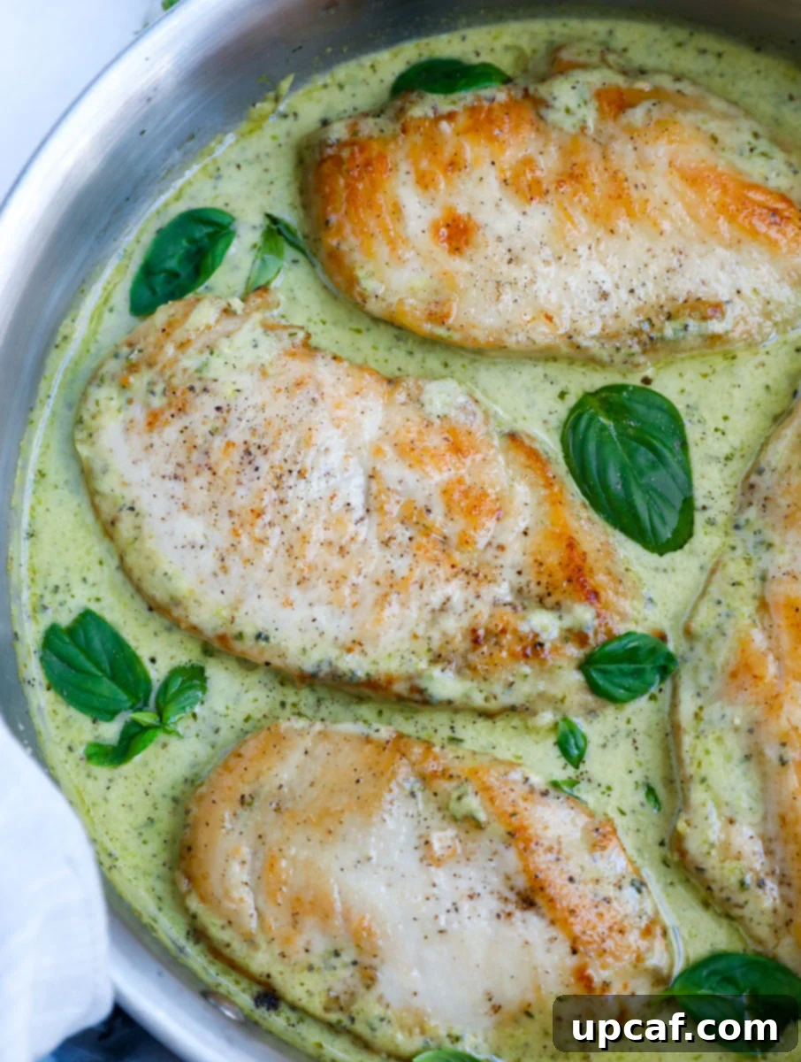 Top down view of creamy pesto chicken in a pan, garnished with fresh basil leaves.