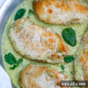 Top down view of creamy pesto chicken in a pan, garnished with fresh basil.