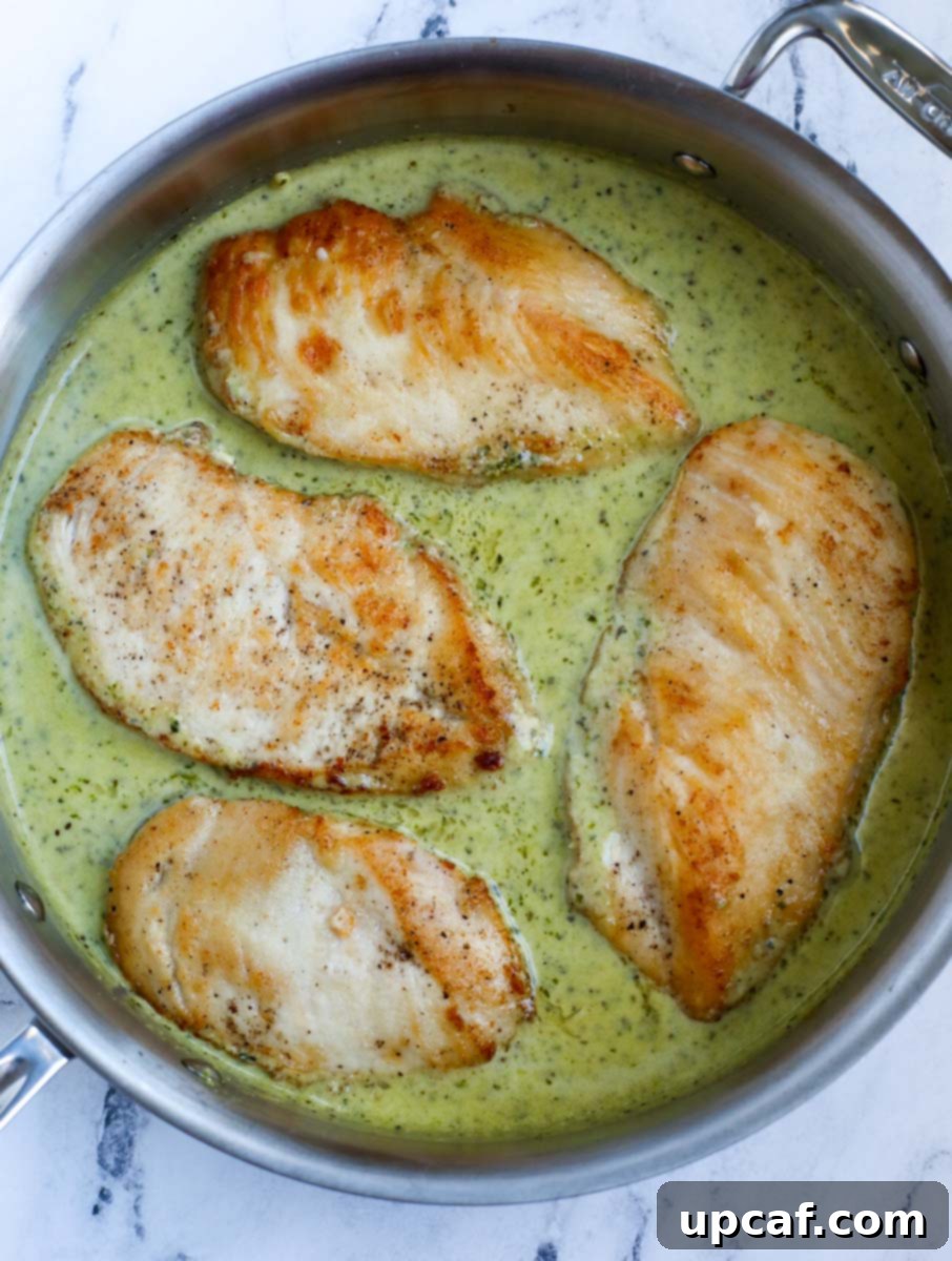 Chicken breasts simmering in creamy pesto sauce in a pan.