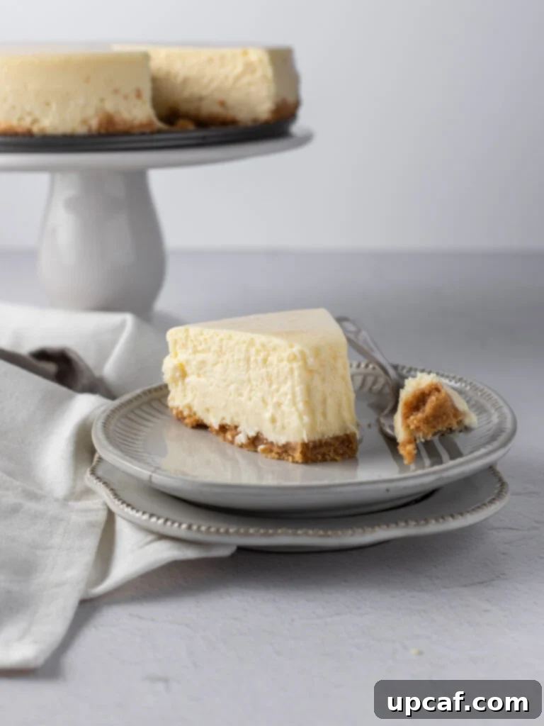 A slice of New York style cheesecake on a plate with the tip of a fork beside it, showcasing its creamy texture.