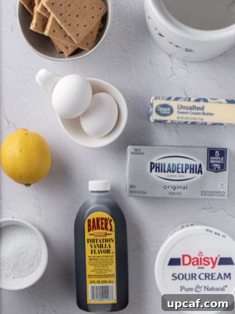 Overhead image of all the ingredients needed to make a New York style cheesecake laid out on a white surface.