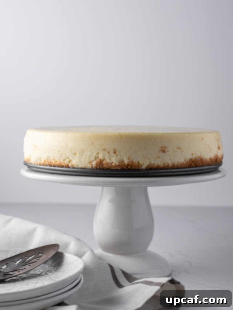 A whole, perfectly baked New York style cheesecake resting on a white cake stand.