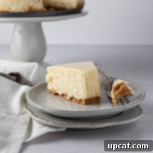 A slice of new york style cheesecake on a plate with the tip on the fork beside it.