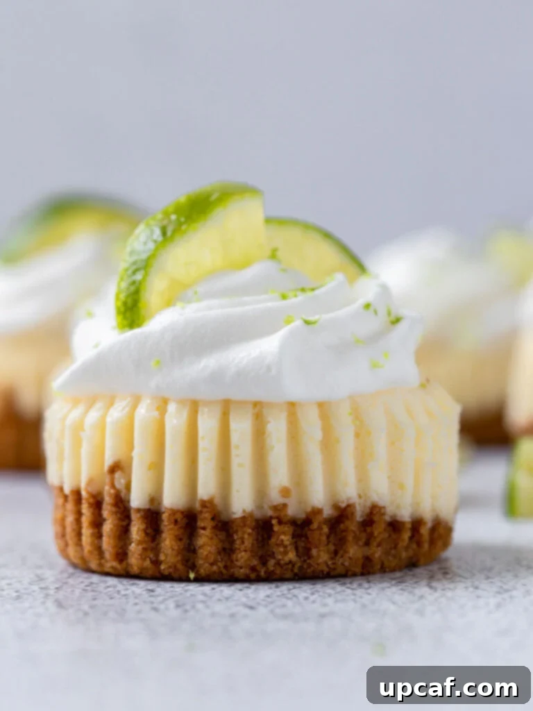 Zesty Key Lime Cheesecake Bites 2 close up shot of mini key lime cupcake with whipped cream and lemon slices on top