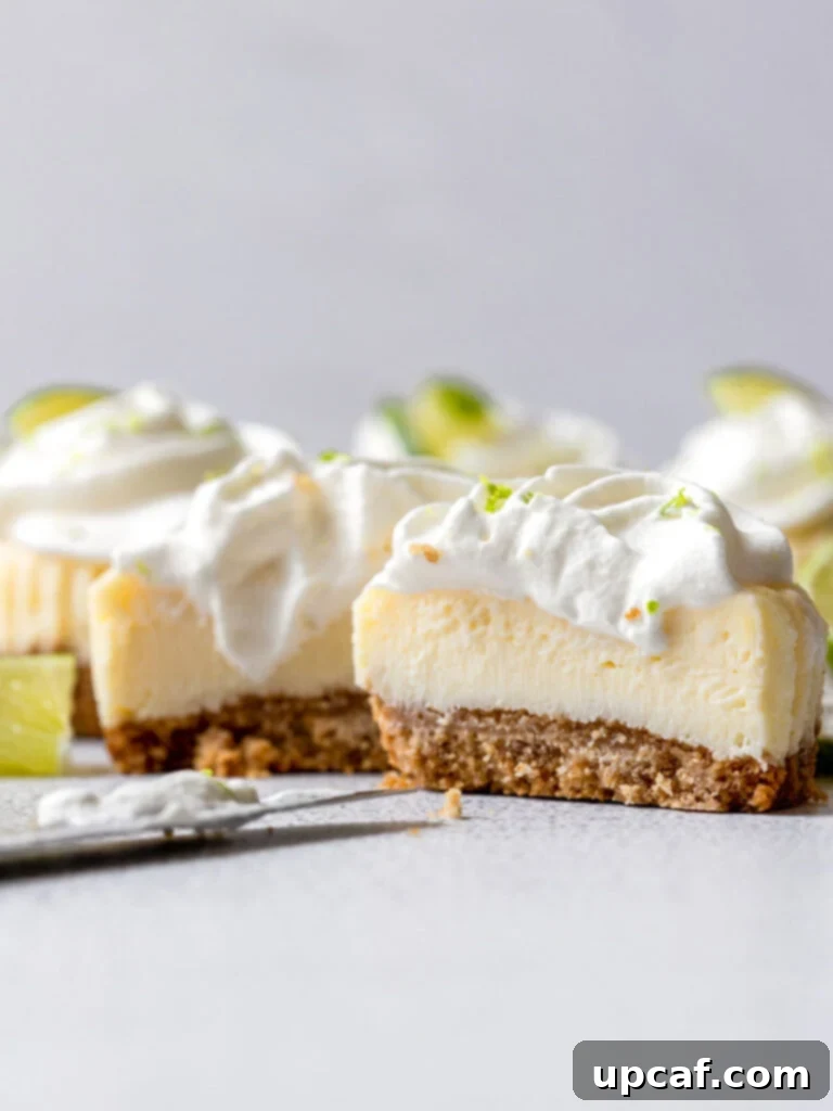 Zesty Key Lime Cheesecake Bites 5 mini keylime cheesecake topped with whipped cream and lime slices and sliced in the middle showing the center