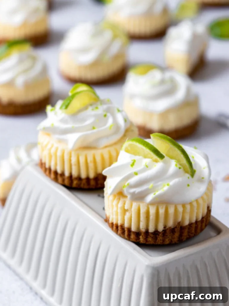 Zesty Key Lime Cheesecake Bites 6 mini keylime cheesecake topped with whipped cream and lime slices