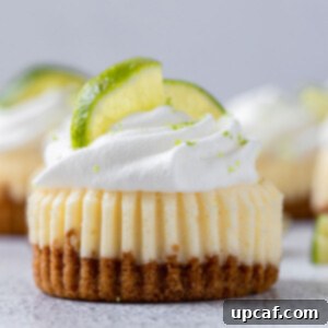 Zesty Key Lime Cheesecake Bites 7 close up shot of mini key lime cupcake with whipped cream and lemon slices on top