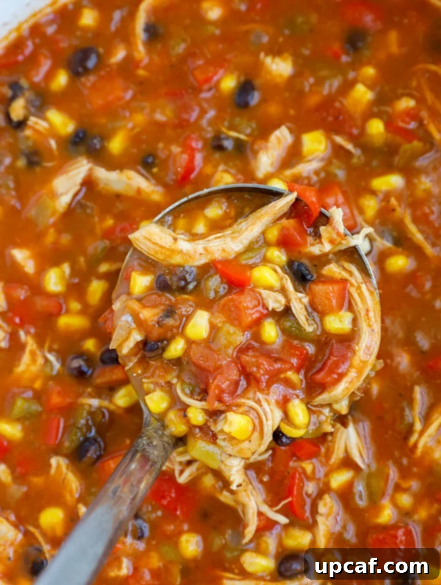 A ladle scooping out enchilada soup.