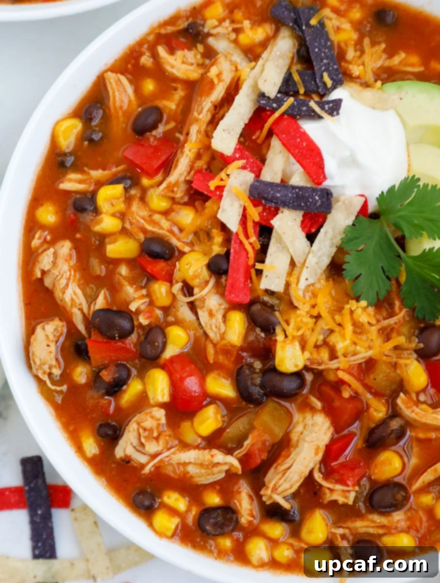 Close up of a bowl of creamy chicken enchilada soup.
