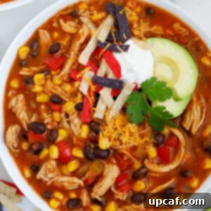 A top down photo of a bowl of chicken enchilada soup.