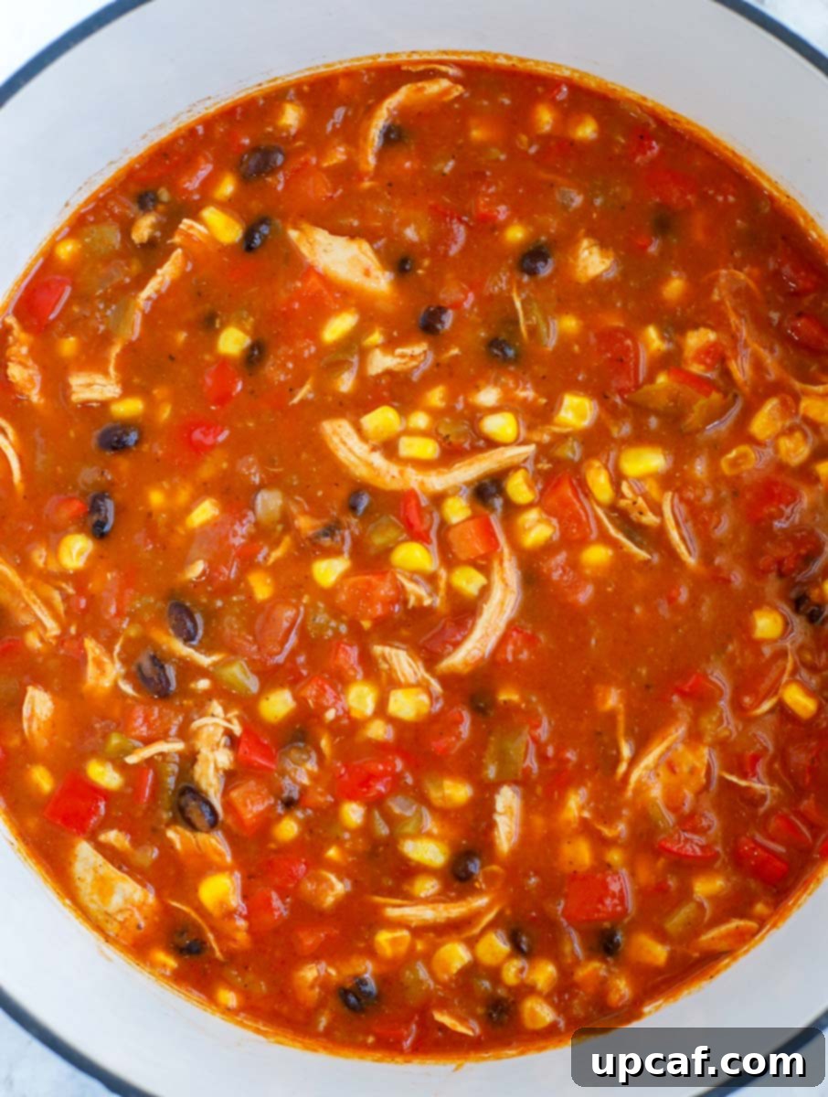 A pot of completed enchilada soup.