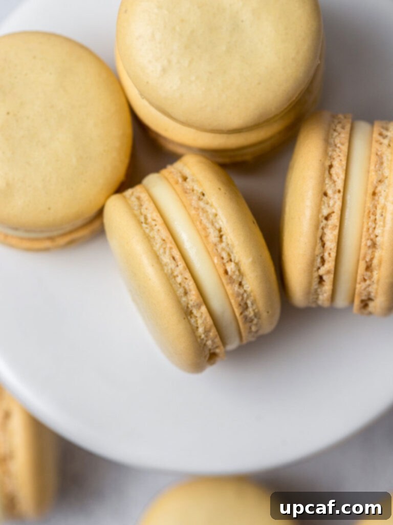 Beautifully arranged lemon macarons on a white plate