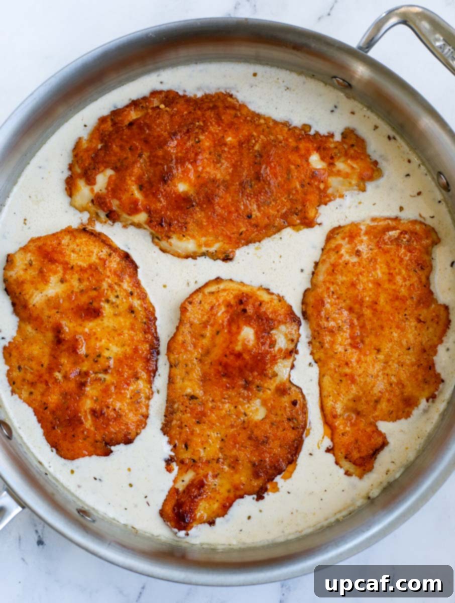 Crispy chicken breasts carefully placed back into the skillet filled with the creamy Caesar sauce.