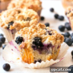 Scrumptious Blueberry Crumb Muffins