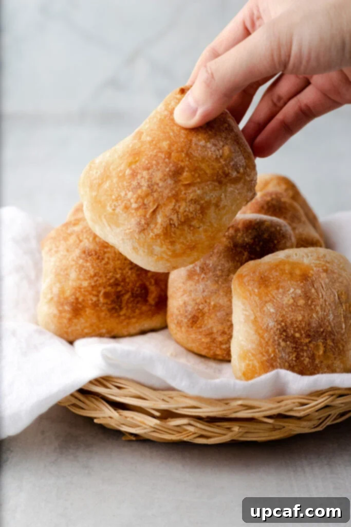 Hand lifting up a perfectly baked, golden-brown ciabatta bread roll, showcasing its crunchy exterior and airy texture.