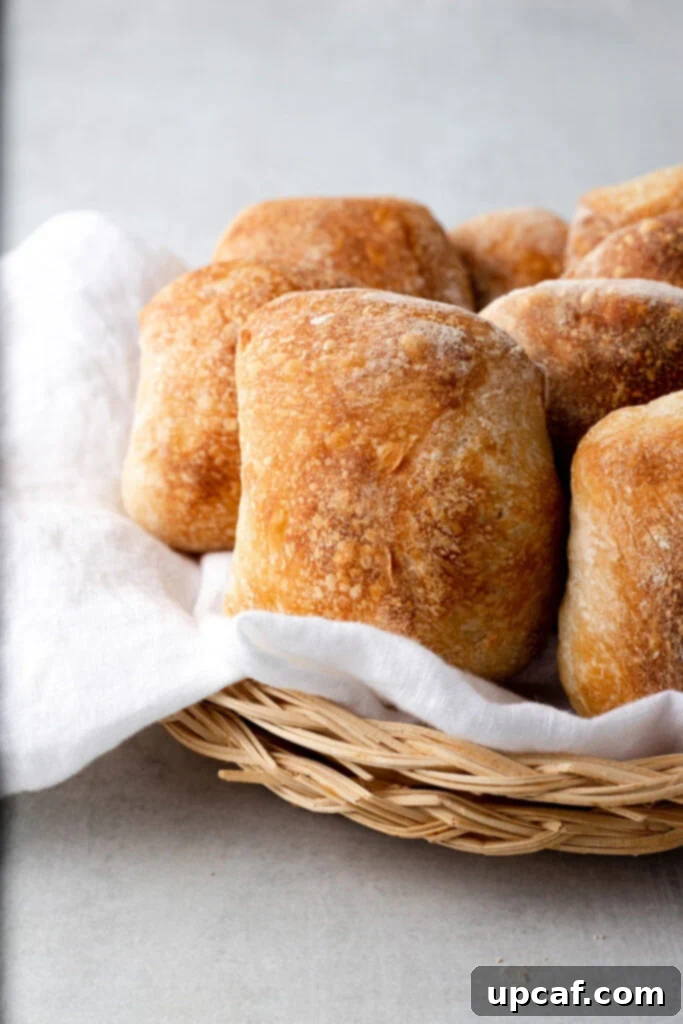 A charming woven basket overflowing with freshly baked, golden-brown ciabatta rolls, ready to be enjoyed.