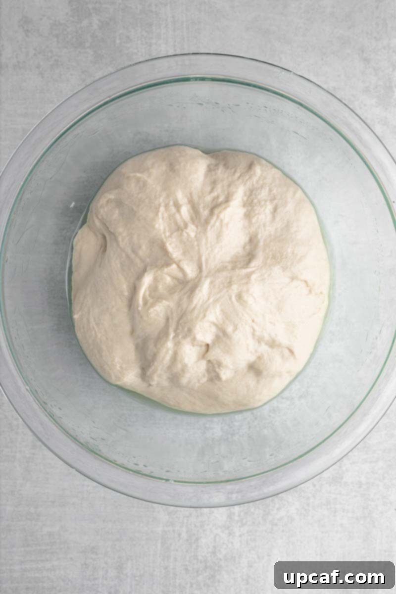 Wet ciabatta dough resting in an oiled Pyrex bowl, covered with plastic wrap, indicating the start of its first rise.