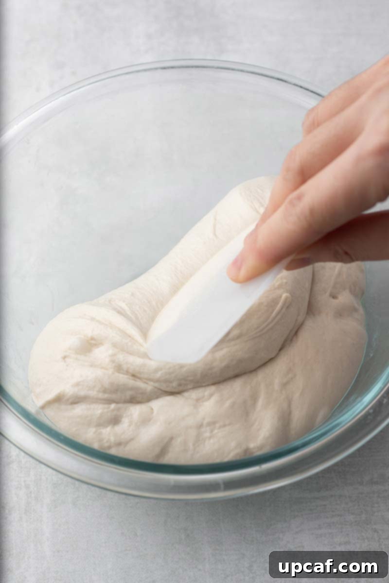 A baker's hands gently folding sticky ciabatta dough using a bench scraper, demonstrating the stretch-and-fold technique.