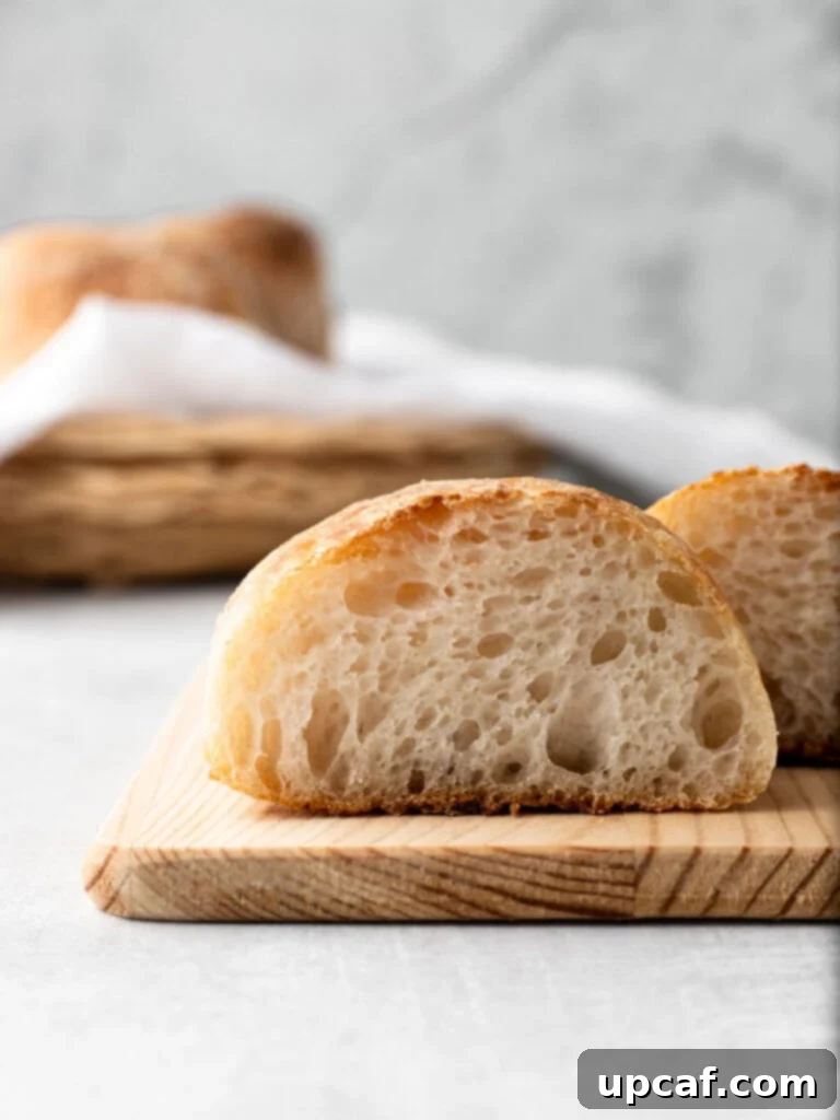 A close-up view of the interior of a freshly baked ciabatta roll, showing its characteristic large, irregular air pockets and chewy crumb.