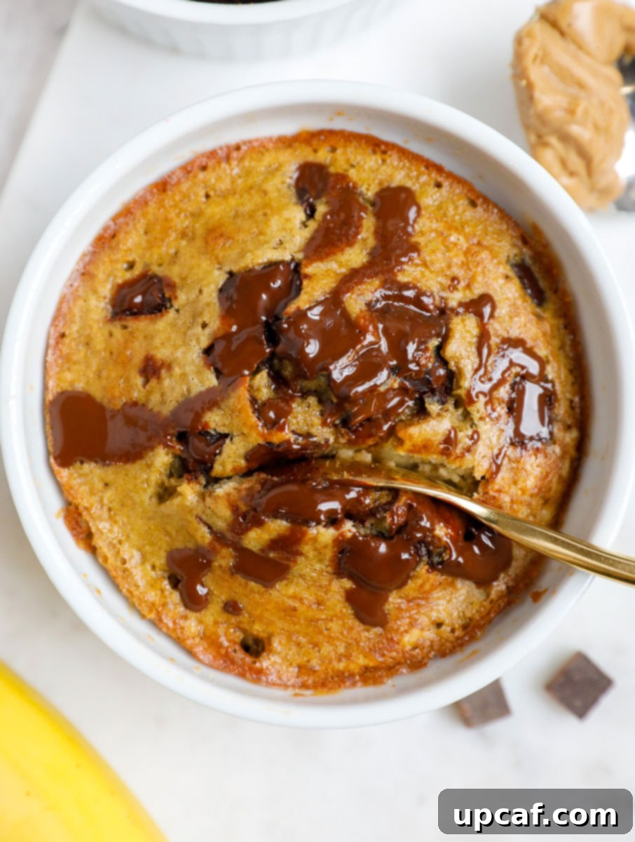 A spoon gently scooping into a ramekin of warm, fluffy banana chocolate baked oats.