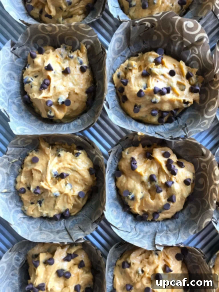 Raw chocolate chip pumpkin muffin batter portioned into a muffin tin, topped with extra chocolate chips.