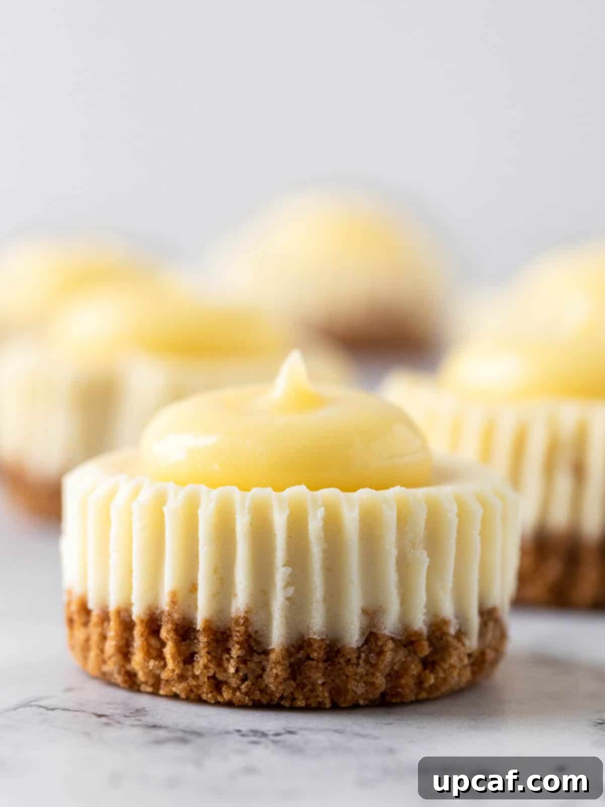 close up of mini lemon cheesecake