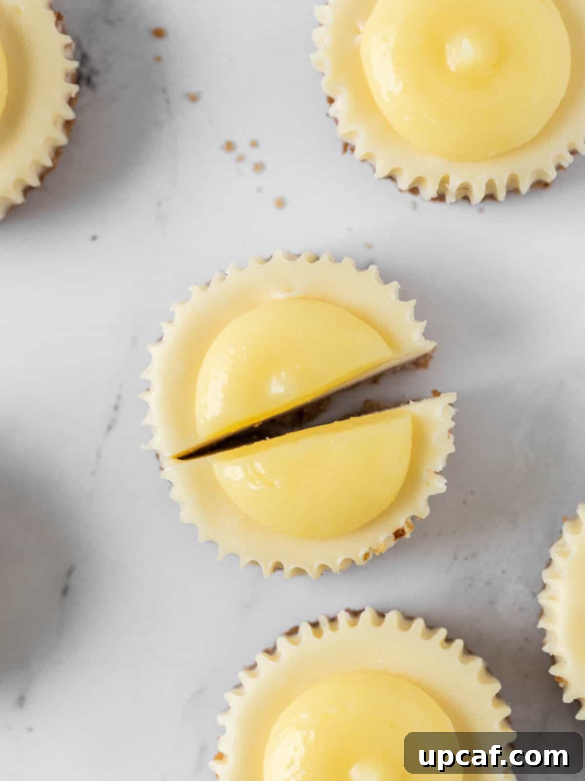 top down mini lemon cheesecake sliced in half