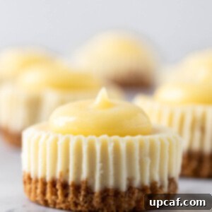 close up of mini lemon cheesecake