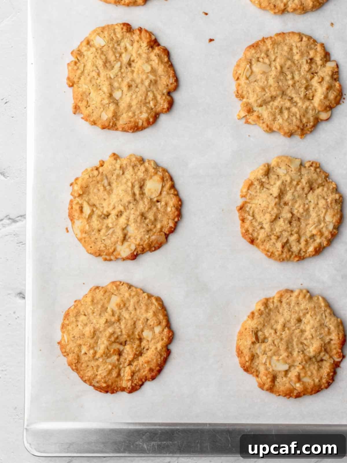 crispy almond oatmeal cookie on a baking sheet after baking.