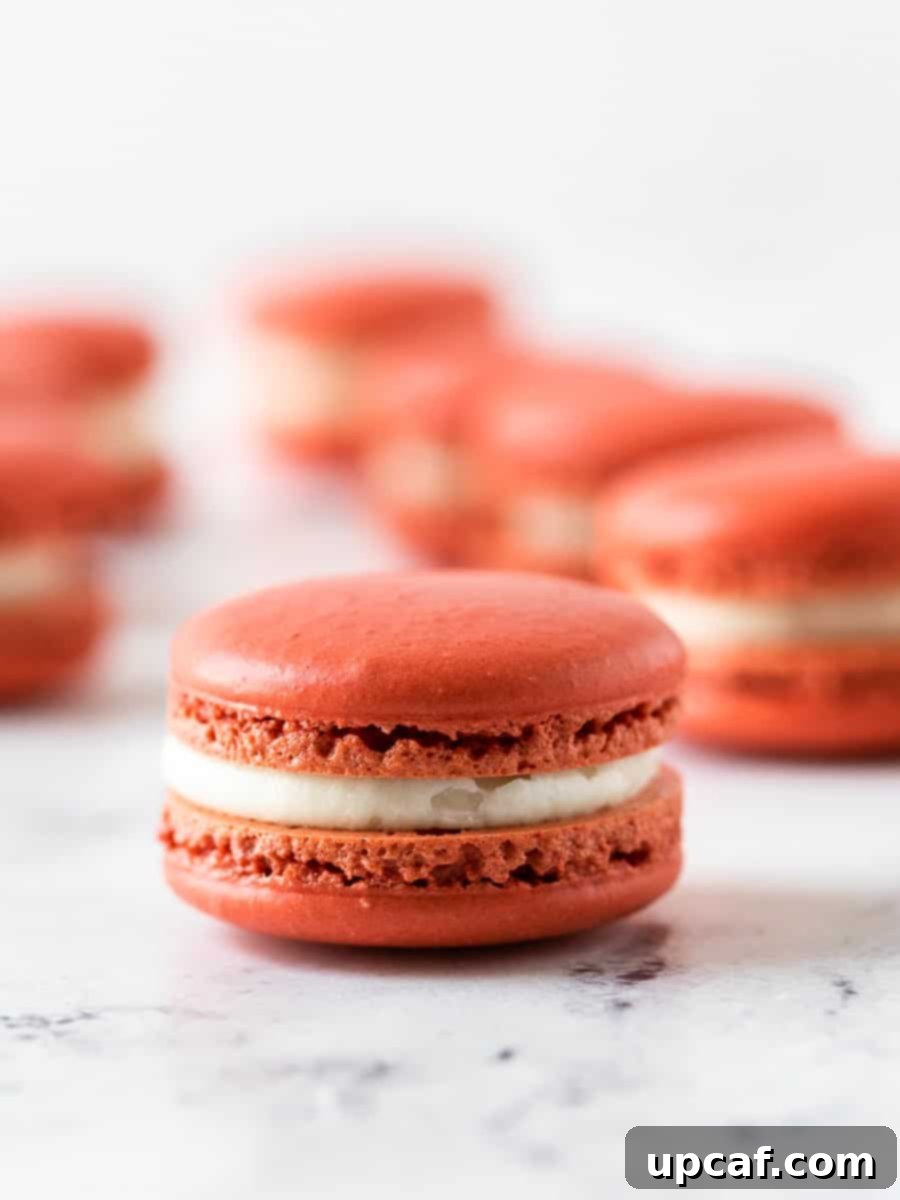 A close-up shot of a single, perfectly assembled red velvet French macaron, showcasing its vibrant red shells and generous, creamy white cream cheese filling.
