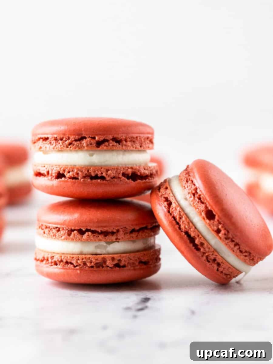 Three perfectly crafted red velvet macarons displayed elegantly, with one leaning against the other two, highlighting their vibrant color, smooth tops, and delicate 'feet'.