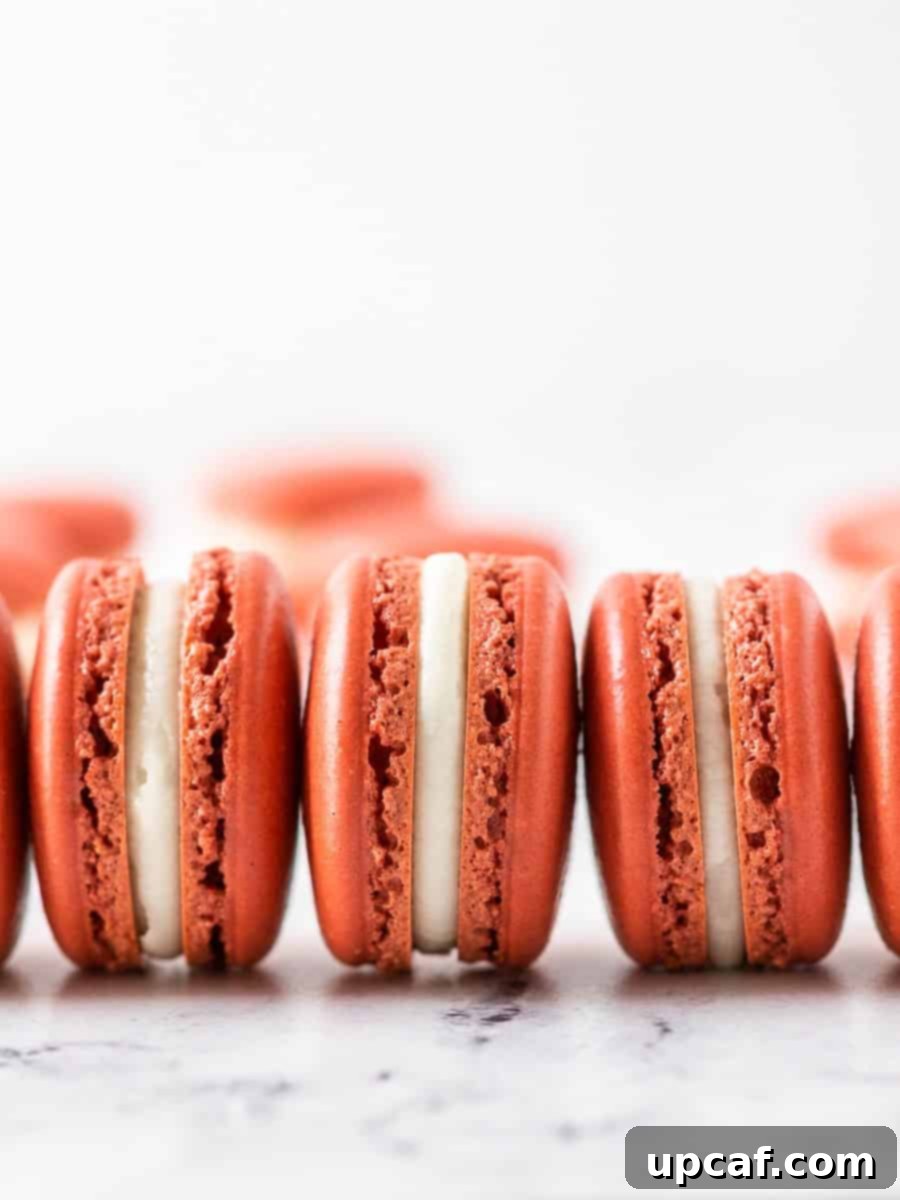 A trio of beautifully arranged red velvet French macarons, showcasing their smooth vibrant shells and delicate 'feet', ready to be enjoyed.