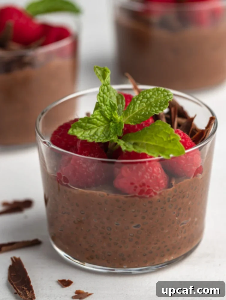 close up shot of the chocolate chia pudding, garnished with berries