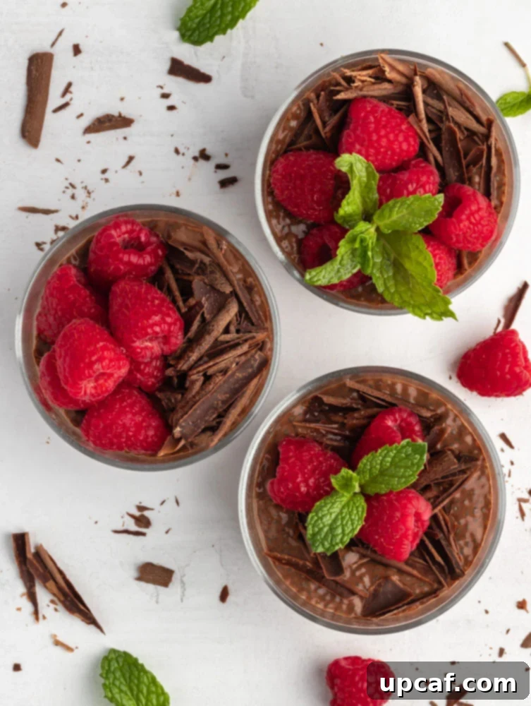top down shot of 3 chocolate chia pudding cups, beautifully topped