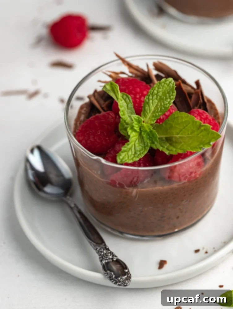 chocolate chia pudding cups in a plate with a spoon next to it, ready for a healthy meal