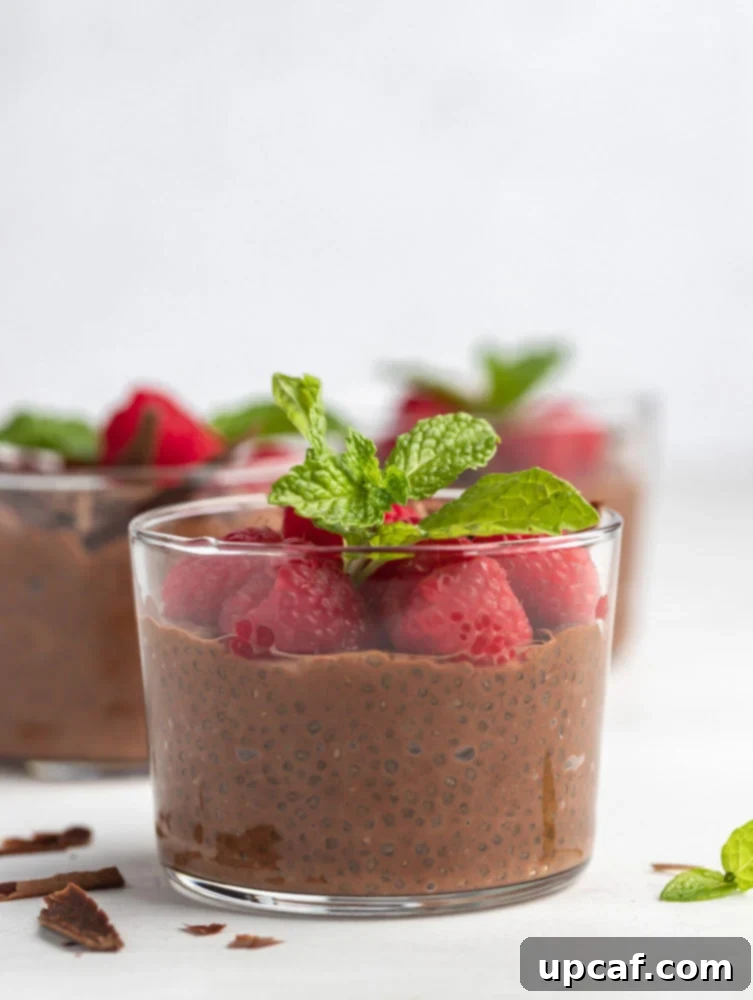 side close up shot of the chocolate chia pudding, showcasing its rich texture