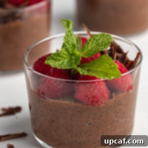 close up shot of the chocolate chia pudding