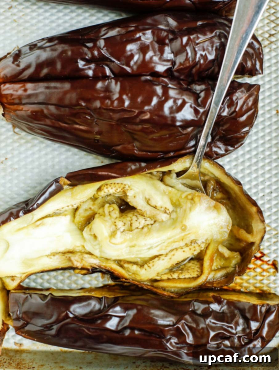 Smoky Lebanese Baba Ganoush 6 A spoon gently scooping the soft, roasted flesh from inside a baked eggplant, demonstrating the preparation step for Baba Ganoush.