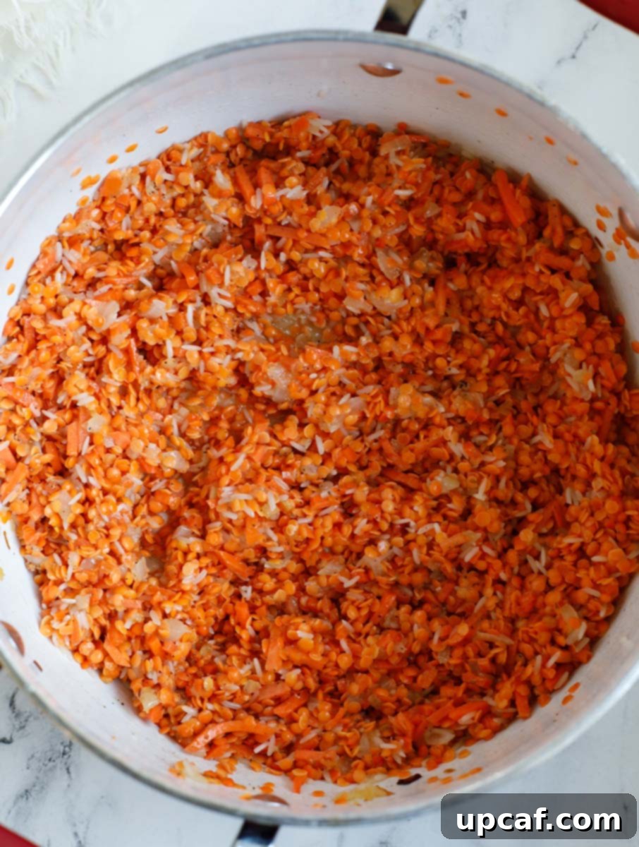 Hearty Lebanese Chicken Lentil Soup 6 The ingredients in the pot - washed lentils, shredded carrots, rinsed rice, cumin powder, black pepper, and caramelized onions - are stirred together, beginning to meld their flavors.