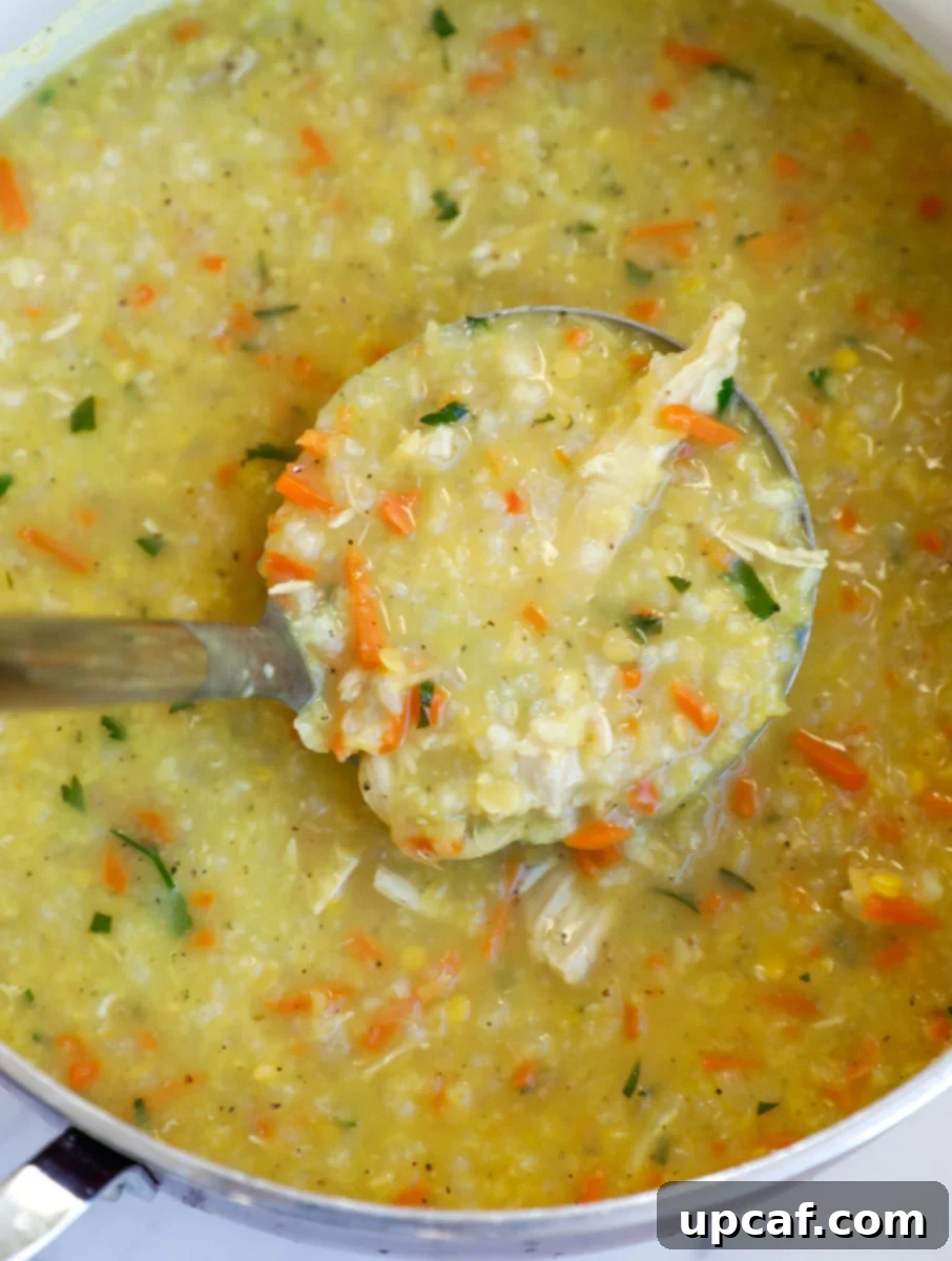 Hearty Lebanese Chicken Lentil Soup 8 A ladle lifts a generous serving of thick, hearty chicken lentil and rice soup from the pot, showcasing its rich texture.