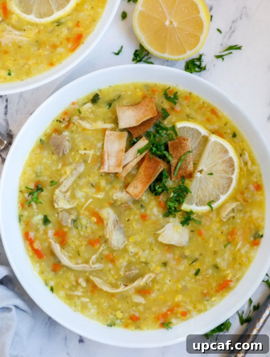 Hearty Lebanese Chicken Lentil Soup 9 A beautifully presented bowl of chicken lentil and rice soup, garnished with fresh lemon slices and crunchy pita chips, ready to be enjoyed.