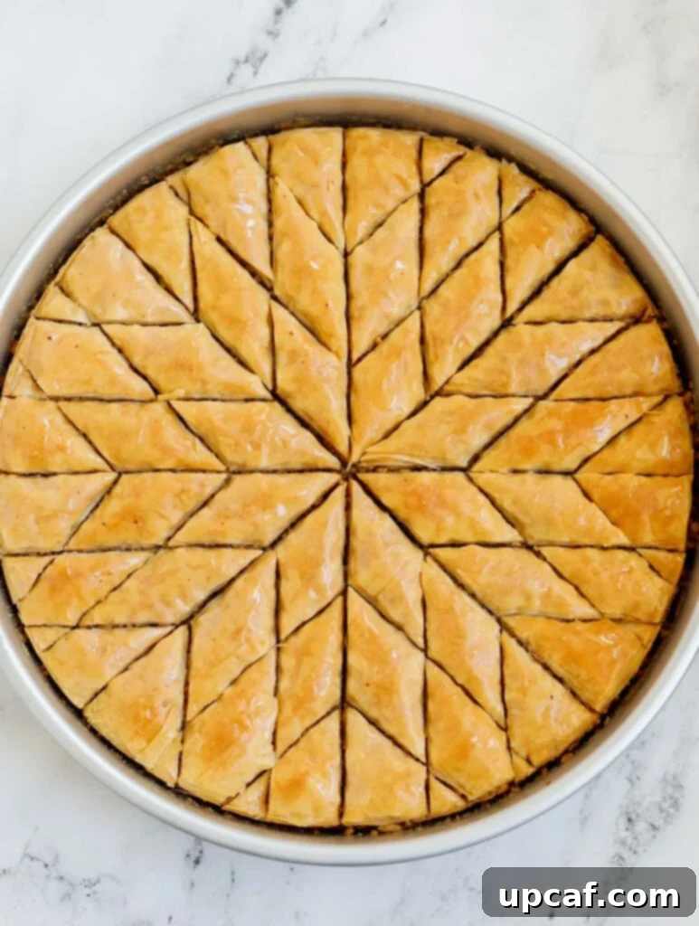 Baked walnut baklava cut into diamond shapes.