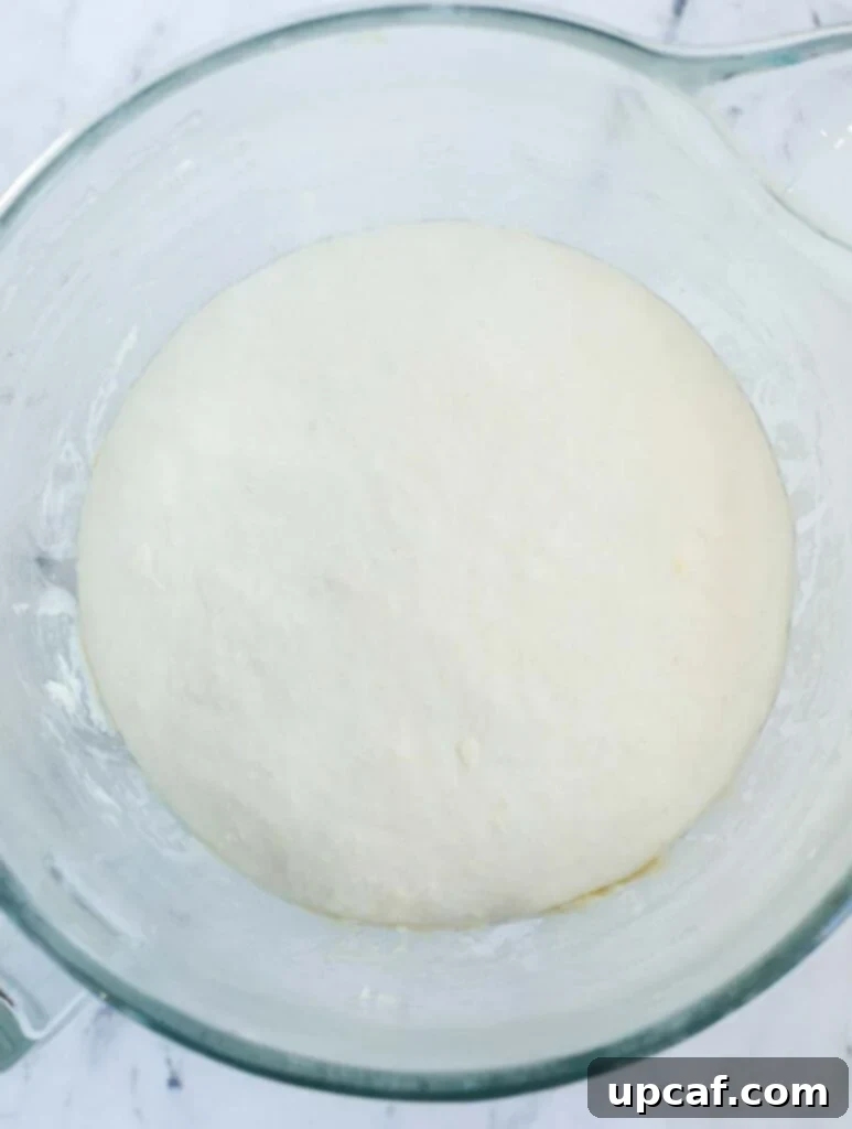 Dough rising in a bowl, demonstrating a successful first proof.
