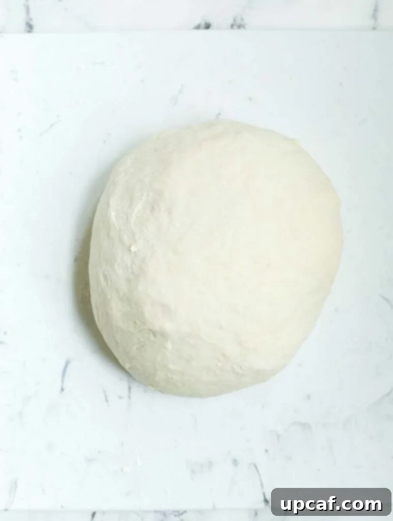 A freshly kneaded ball of dough, smooth and ready for its first rise.