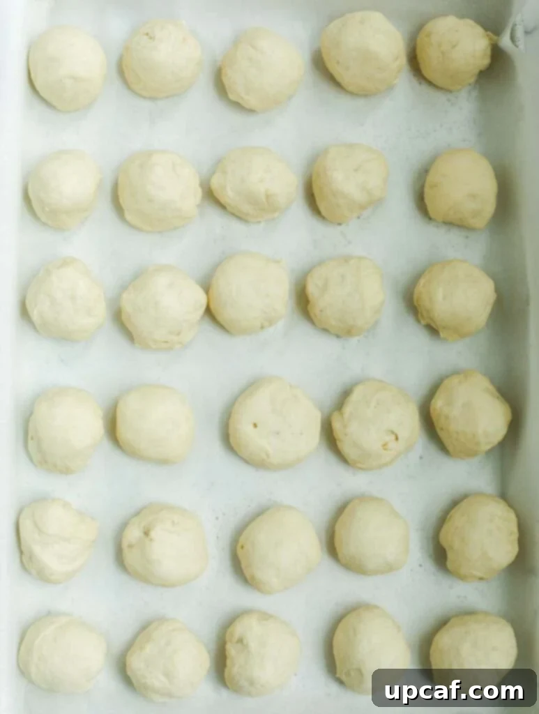 Small, uniform dough balls ready for their final rise and shaping.