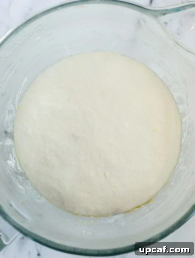 Savory Zaatar Flatbread 6 top down shot of the dough in a bowl after rising