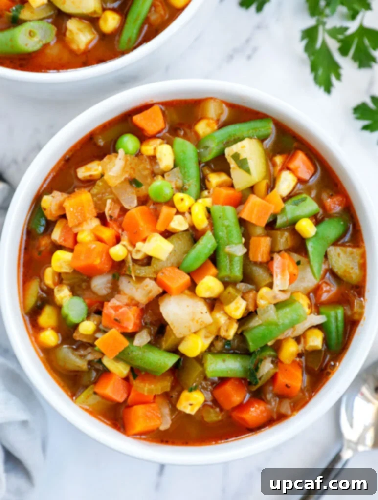 Garden Fresh Veggie Delight 2 Overhead view of a bowl of delicious homemade vegetable soup, garnished with fresh parsley.
