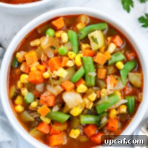 Garden Fresh Veggie Delight 8 Overhead view of a bowl of vegetables soup.