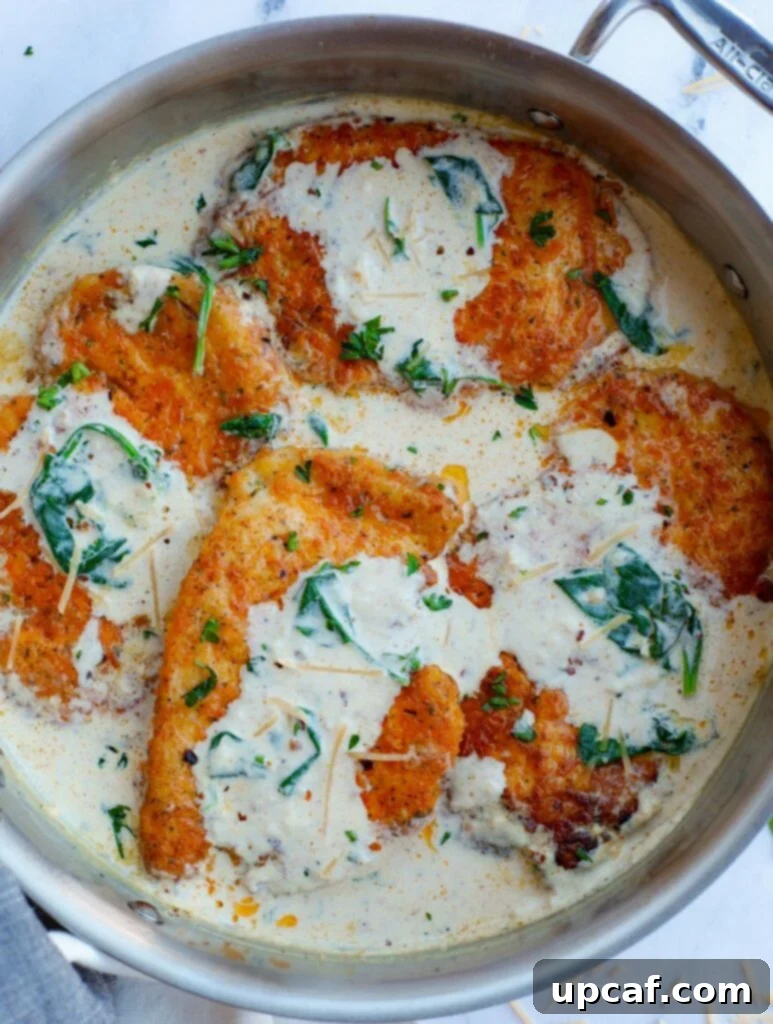 Overhead view of creamy parmesan chicken breasts nestled in a pan with the luscious sauce.